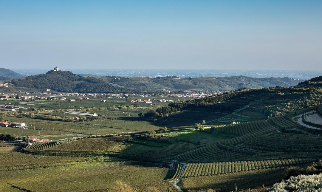 Weekend in cantina: le tenute più belle da visitare in Veneto