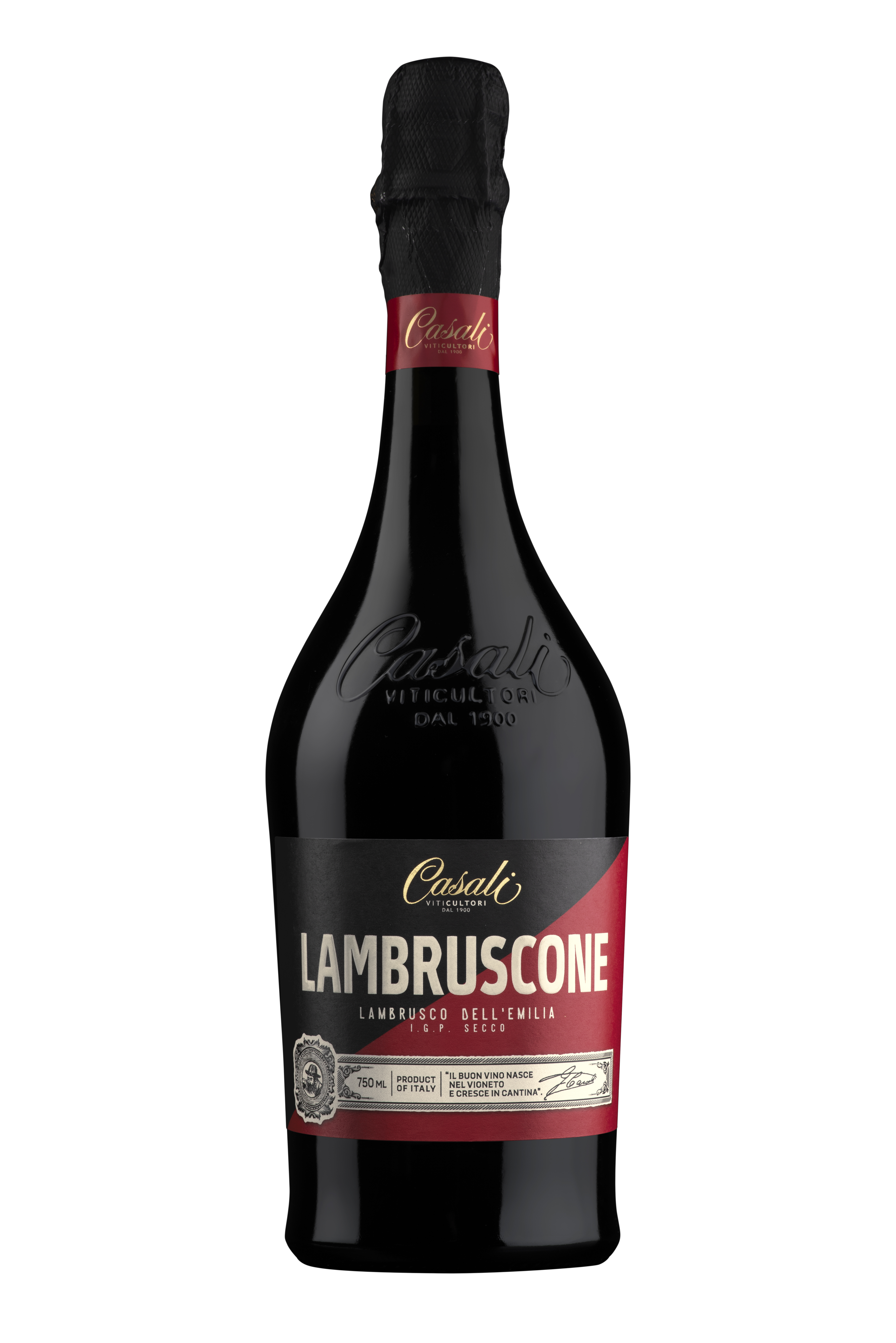 Lambruscone Emilia IGP