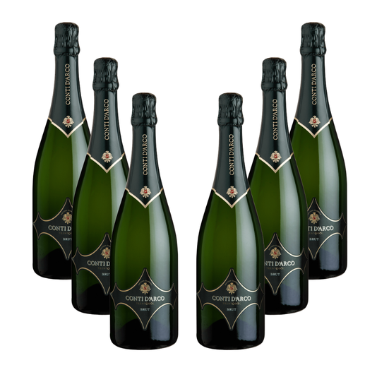 6 bottiglie Trento DOC Brut Metodo Classico