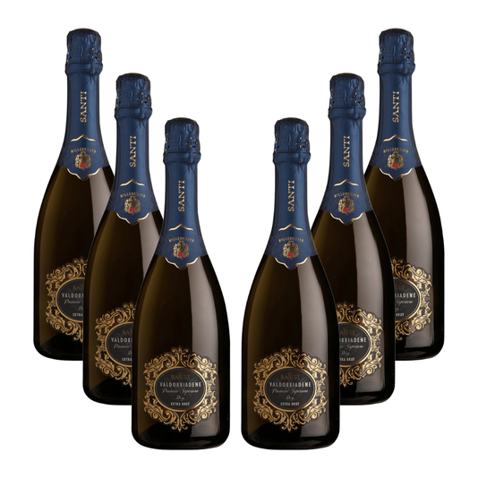 6 bottiglie Prosecco Extra Brut Santi