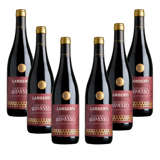 6 bottiglie Valpolicella Ripasso DOC