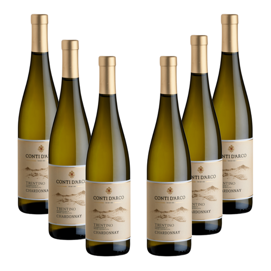 6 bottiglie Chardonnay Trentino DOC