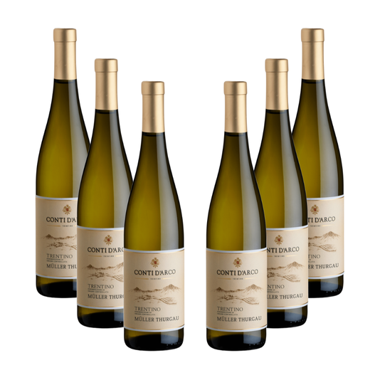 6 bottiglie Müller Thurgau Trentino DOC